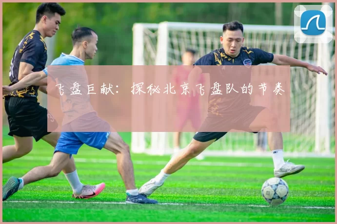 飞盘巨献：探秘北京飞盘队的节奏