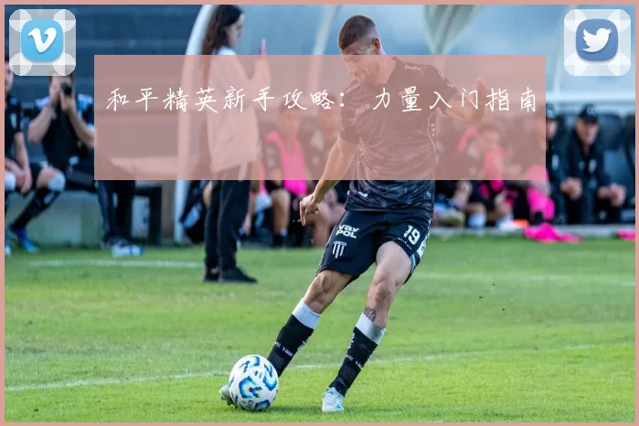 和平精英新手攻略：力量入门指南